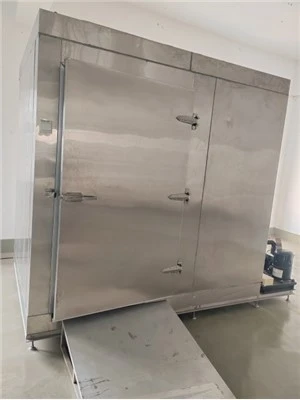 Negative Cold Storage Room