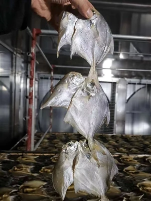 Air Source Heat Pump For Seafood Drying